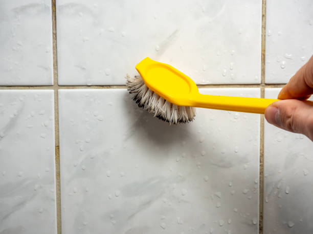 Best Mold Removal Company Near Me  in Cambria, IL