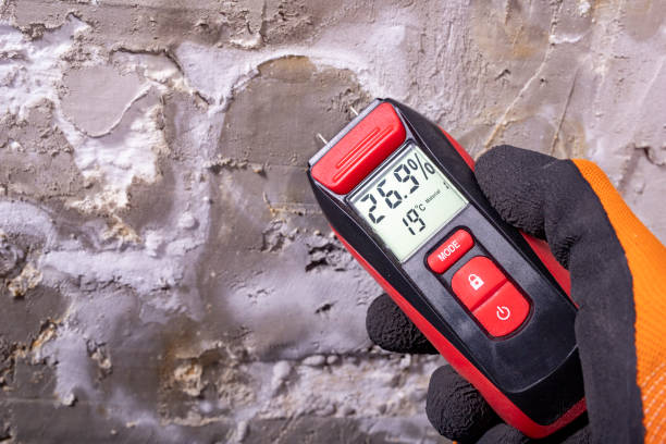 Crawl Space Mold Removal in Cambria, IL