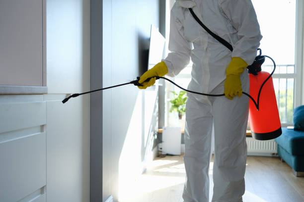 Professional Mold Removal in Cambria, IL